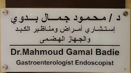 محمود جمال بدوي الشيخ زايد