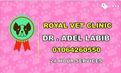Adel Labib