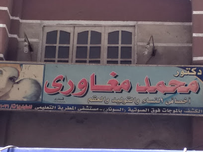 محمد مغاورى