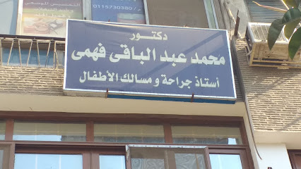 محمد عبد الباقى فهمى